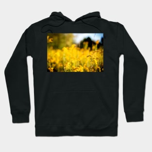 Autumn Love - Wildflower Field Hoodie